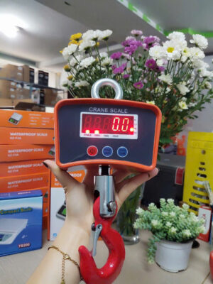Cân treo 1 tấn