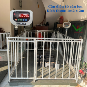 Cân lợn điện tử 1m5 x 2m