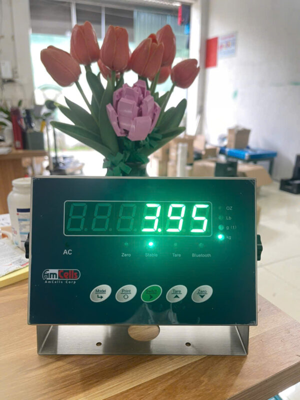Đầu Cân Amcells B19S
